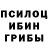 Галлюциногенные грибы Psilocybine cubensis Daiana Makulbek